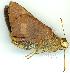  ( - gvc7483-1L)  @13 [ ] Copyright (2004) Unspecified Unspecified
