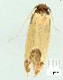 ( - gvc7486-1L)  @13 [ ] Copyright (2004) Unspecified Unspecified