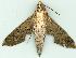  ( - gvc7494-1L)  @13 [ ] Copyright (2004) Unspecified Unspecified