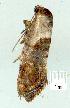  ( - gvc7503-1L)  @12 [ ] Copyright (2004) Unspecified Unspecified