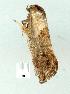  ( - gvc7518-1L)  @12 [ ] Copyright (2004) Unspecified Unspecified