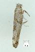  ( - gvc7554-1L)  @12 [ ] Copyright (2004) Unspecified Unspecified
