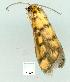  ( - gvc7558-1L)  @12 [ ] Copyright (2004) Unspecified Unspecified