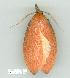  ( - gvc7584-1L)  @12 [ ] Copyright (2004) Unspecified Unspecified