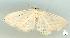  ( - gvc7634-1L)  @13 [ ] Copyright (2004) Unspecified Unspecified
