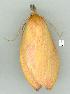  ( - gvc7680-1L)  @12 [ ] Copyright (2004) Unspecified Unspecified