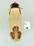  ( - gvc7723-1L)  @13 [ ] Copyright (2004) Unspecified Unspecified