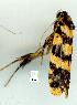  ( - gvc7745-1L)  @13 [ ] Copyright (2004) Unspecified Unspecified