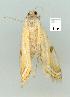  ( - gvc7750-1L)  @13 [ ] Copyright (2004) Unspecified Unspecified