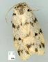 ( - gvc7763-1L)  @13 [ ] Copyright (2004) Unspecified Unspecified