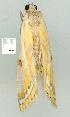  ( - gvc7766-1L)  @12 [ ] Copyright (2004) Unspecified Unspecified