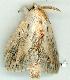  ( - gvc7773-1L)  @13 [ ] Copyright (2004) Unspecified Unspecified