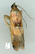  ( - gvc7814-1L)  @12 [ ] Copyright (2004) Unspecified Unspecified