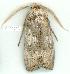  ( - gvc7834-1L)  @13 [ ] Copyright (2004) Unspecified Unspecified