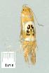  ( - gvc7835-1L)  @12 [ ] Copyright (2004) Unspecified Unspecified