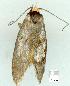  ( - gvc7900-1L)  @12 [ ] Copyright (2004) Unspecified Unspecified