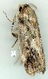  ( - gvc7904-1L)  @12 [ ] Copyright (2004) Unspecified Unspecified