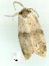  ( - gvc7909-1L)  @13 [ ] Copyright (2004) Unspecified Unspecified