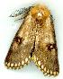  ( - gvc7927-1L)  @12 [ ] Copyright (2004) Unspecified Unspecified