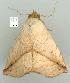  ( - gvc7959-1L)  @13 [ ] Copyright (2004) Unspecified Unspecified