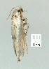  ( - gvc7971-1L)  @12 [ ] Copyright (2004) Unspecified Unspecified