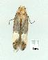  ( - gvc7972-1L)  @12 [ ] Copyright (2004) Unspecified Unspecified