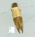  ( - gvc8049-1L)  @13 [ ] Copyright (2004) Unspecified Unspecified