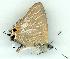  ( - gvc8050-1L)  @12 [ ] Copyright (2004) Unspecified Unspecified