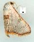  ( - gvc8103-1L)  @13 [ ] Copyright (2004) Unspecified Unspecified