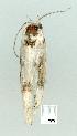  ( - gvc8149-1L)  @12 [ ] Copyright (2004) Unspecified Unspecified