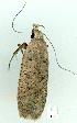  ( - gvc8168-1L)  @12 [ ] Copyright (2004) Unspecified Unspecified
