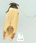  ( - gvc8171-1L)  @13 [ ] Copyright (2004) Unspecified Unspecified
