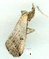  ( - gvc8184-1L)  @13 [ ] Copyright (2004) Unspecified Unspecified