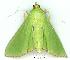  ( - gvc8211-1L)  @14 [ ] Copyright (2004) Unspecified Unspecified
