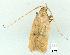  ( - gvc8220-1L)  @13 [ ] Copyright (2004) Unspecified Unspecified