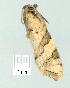  ( - gvc8225-1L)  @12 [ ] Copyright (2004) Unspecified Unspecified