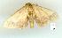  ( - gvc8237-1L)  @13 [ ] Copyright (2004) Unspecified Unspecified