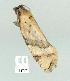 ( - gvc8241-1L)  @12 [ ] Copyright (2004) Unspecified Unspecified