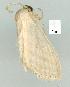  ( - gvc8267-1L)  @13 [ ] Copyright (2004) Unspecified Unspecified