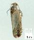  ( - gvc8288-1L)  @12 [ ] Copyright (2004) Unspecified Unspecified
