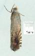  ( - gvc8339-1L)  @12 [ ] Copyright (2004) Unspecified Unspecified
