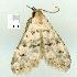  (ChusarisNAG - gvc8359-1L)  @12 [ ] Copyright (2004) Unspecified Unspecified