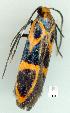  ( - gvc8360-1L)  @12 [ ] Copyright (2004) Unspecified Unspecified