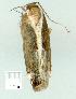  ( - gvc8375-1L)  @12 [ ] Copyright (2004) Unspecified Unspecified