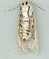  ( - gvc8419-1L)  @13 [ ] Copyright (2004) Unspecified Unspecified