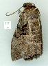  ( - gvc8422-1L)  @12 [ ] Copyright (2004) Unspecified Unspecified