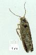  ( - gvc8440-1L)  @12 [ ] Copyright (2004) Unspecified Unspecified