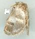 ( - gvc8464-1L)  @12 [ ] Copyright (2004) Unspecified Unspecified
