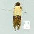  ( - gvc8507-1L)  @13 [ ] Copyright (2004) Unspecified Unspecified