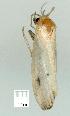  ( - gvc8544-1L)  @13 [ ] Copyright (2004) Unspecified Unspecified